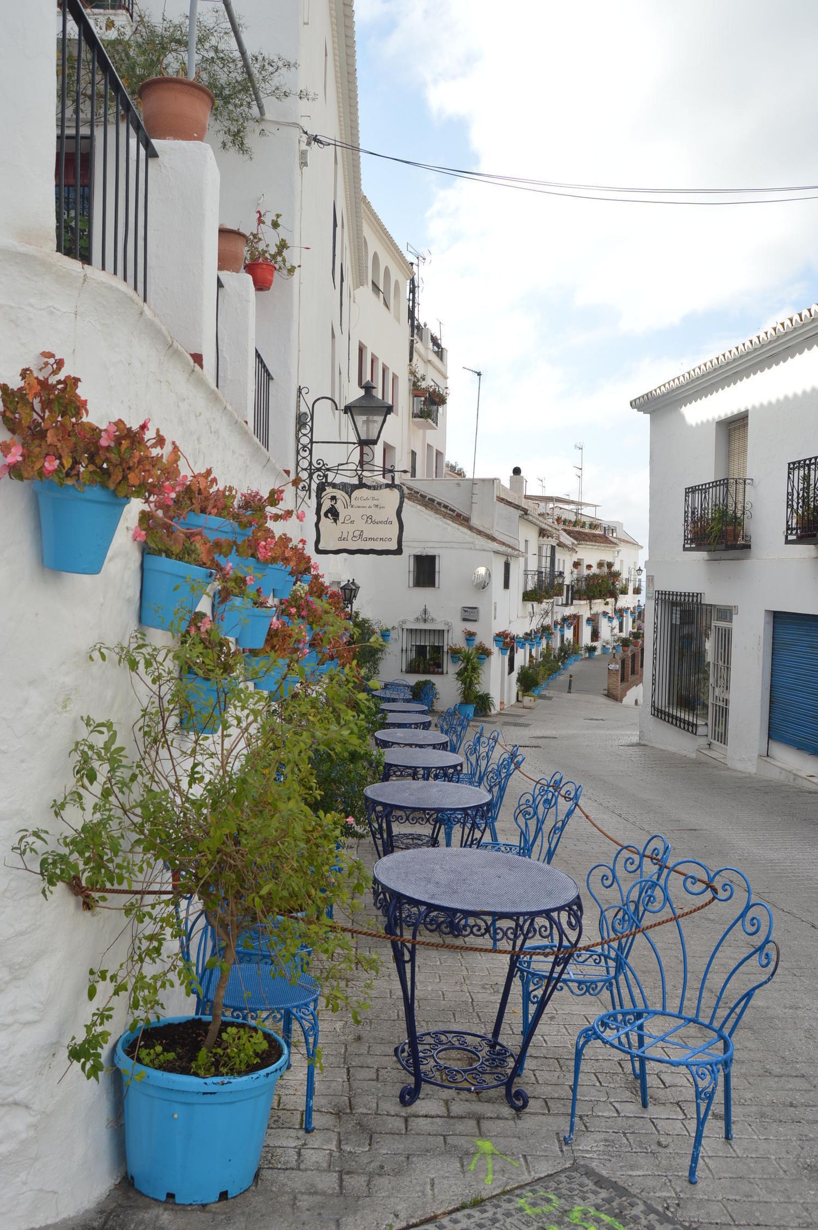 Los nuevos maceteros instalados.