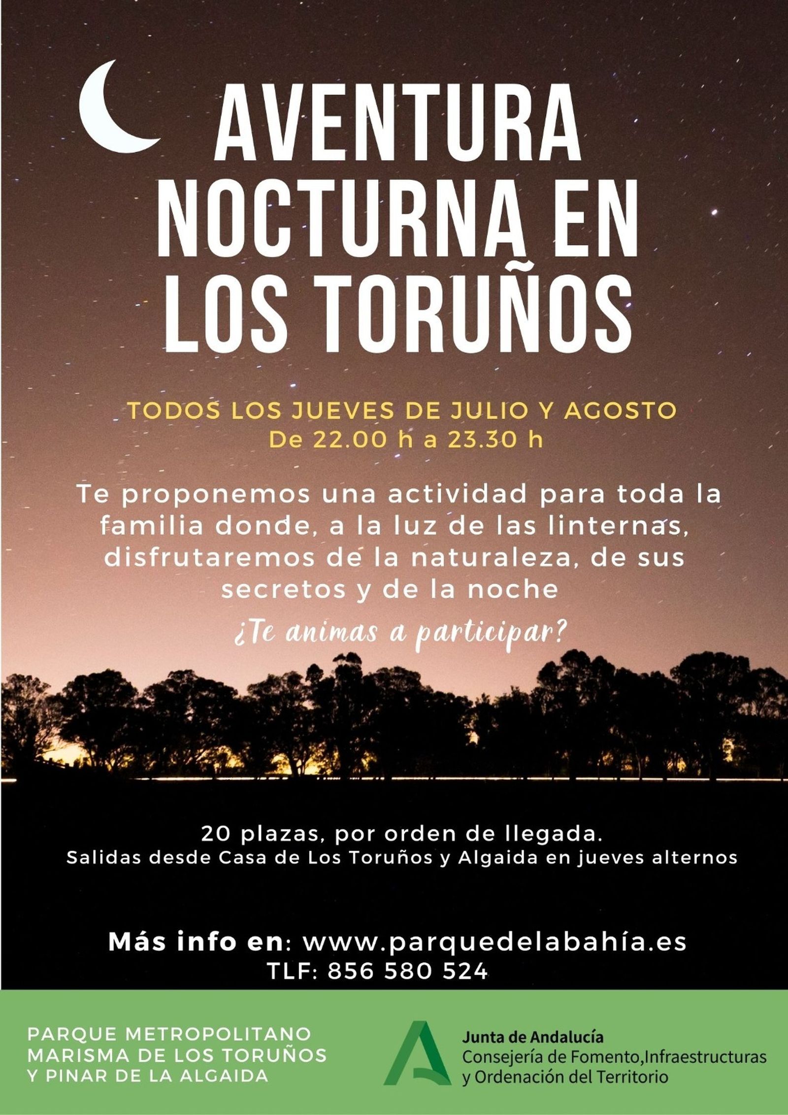 Cartel de este ciclo.