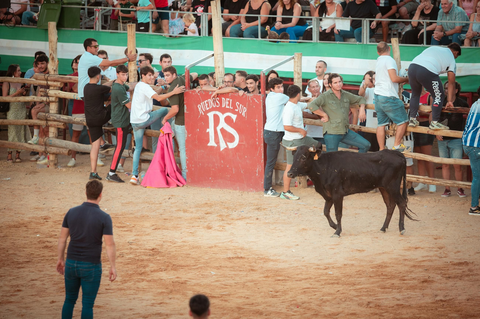 Imágenes de las capeas y del concierto de Antonio José en Trigueros