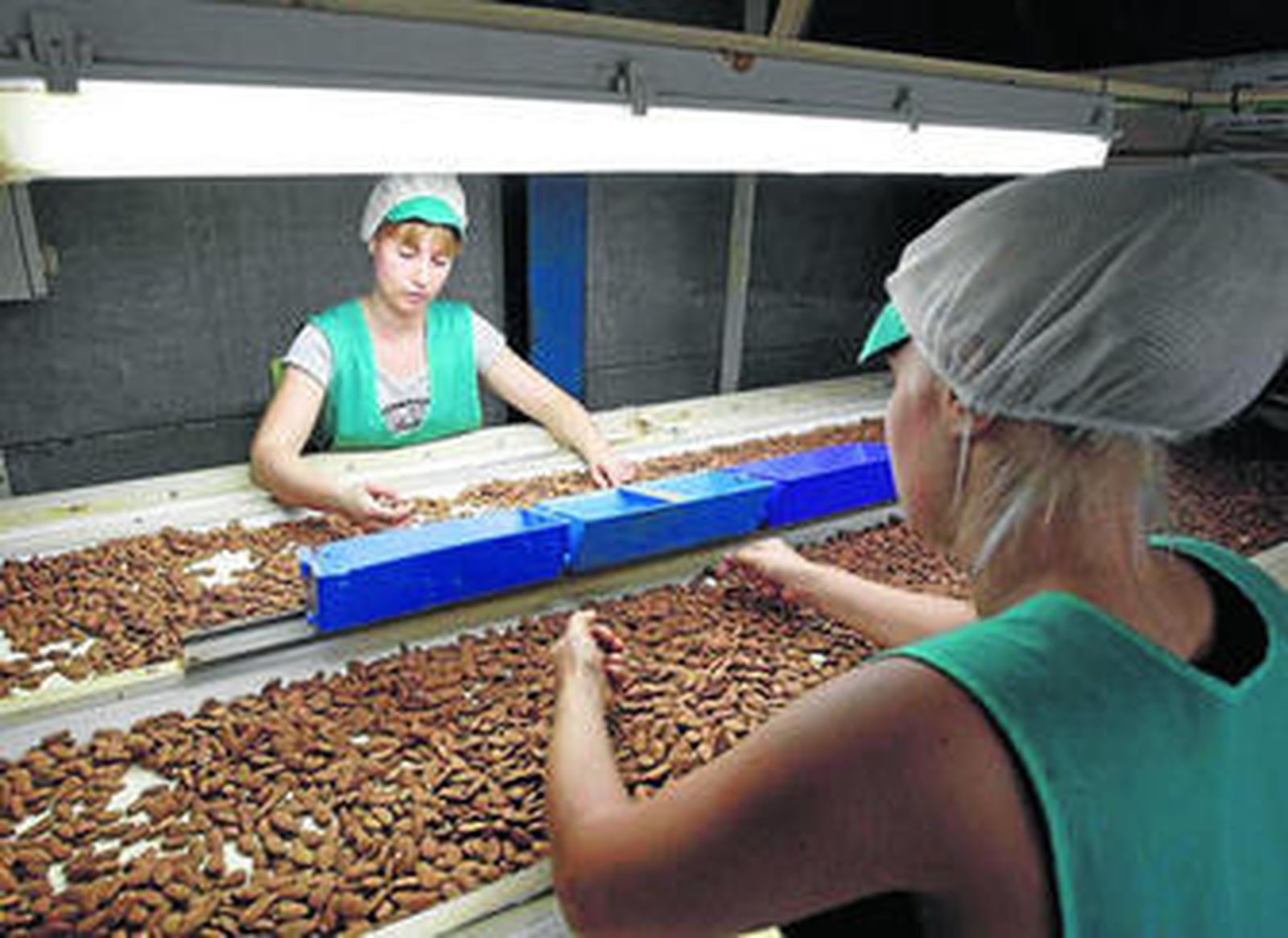 SAT Almendras de Almería posee sus instalaciones en Gérgal.