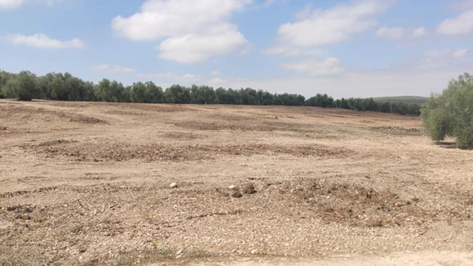 Terrenos donde se construye la EDAR de Monturque.