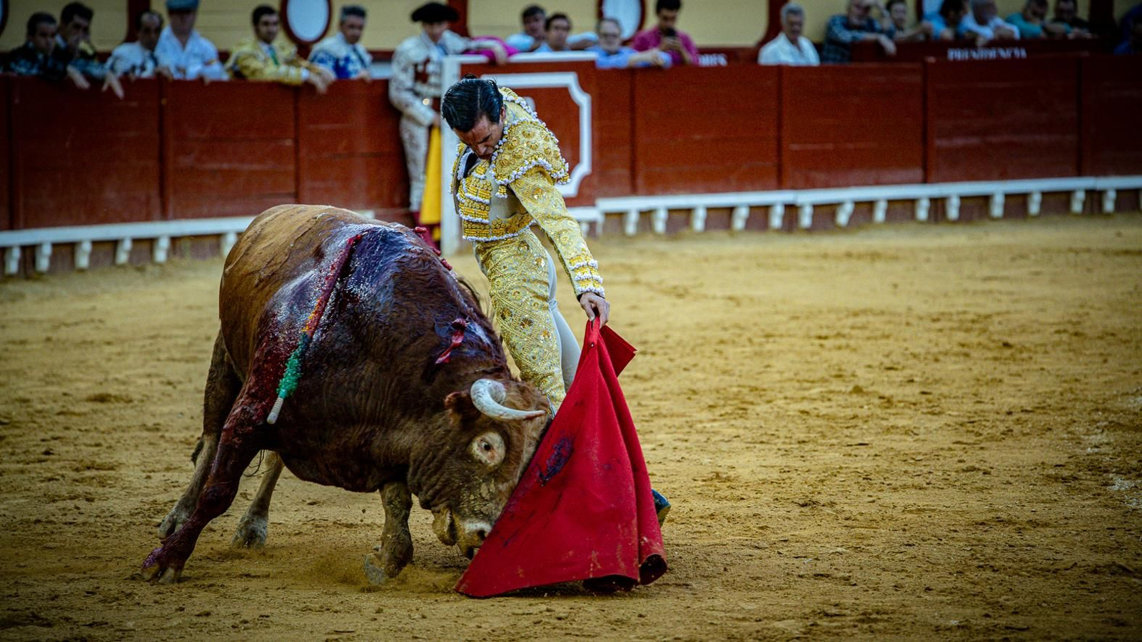 Las imágenes de la corrida de toros en El Puerto: Morante, Talavante y Juan Ortega