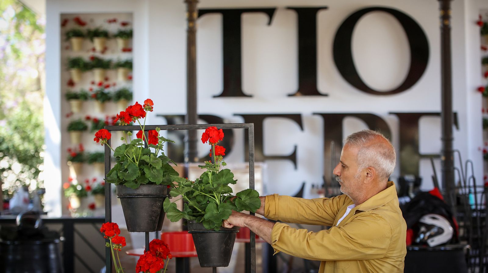 Imágenes de los preparativos para la Feria del Caballo 2024