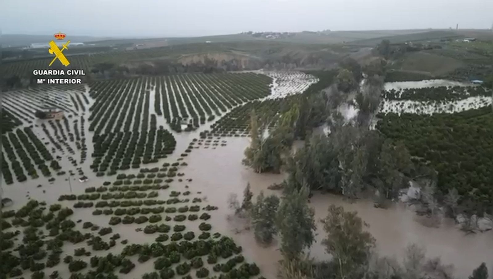 Las inundaciones en Palma del Río a vista de pájaro