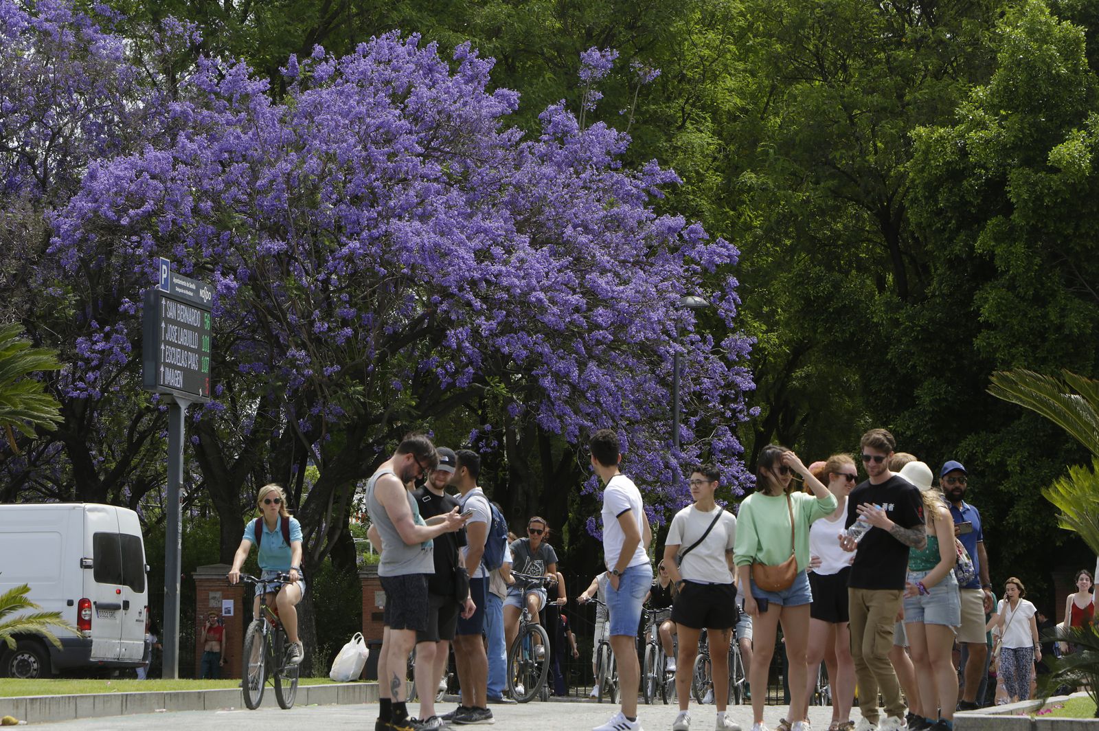 El color morado reina en Sevilla