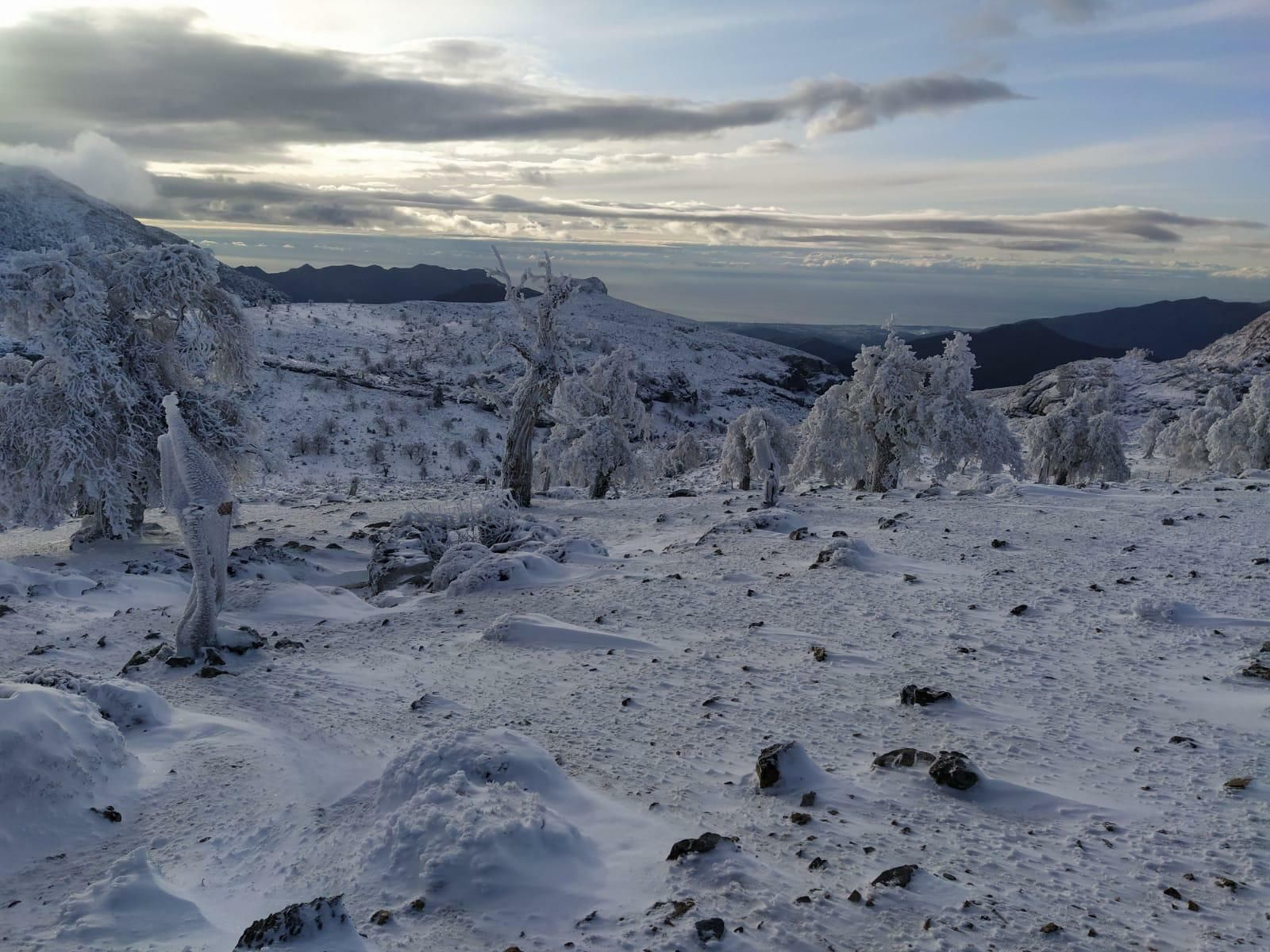 Fotos de la nieve en Ronda, en la subida al Torrecilla