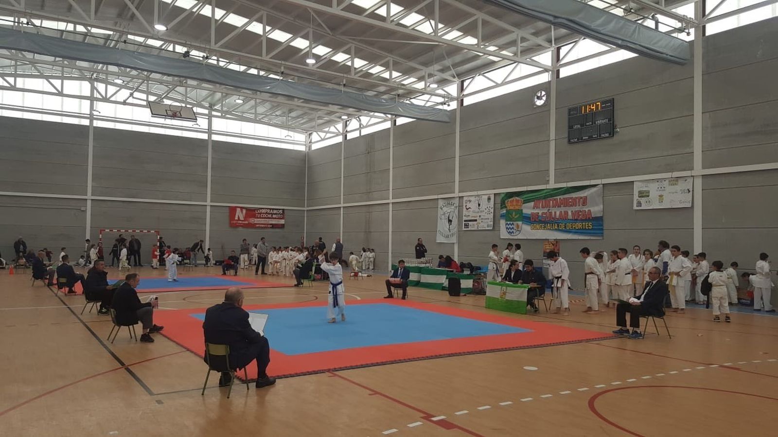 El pabellón de Cúllar-Vega.