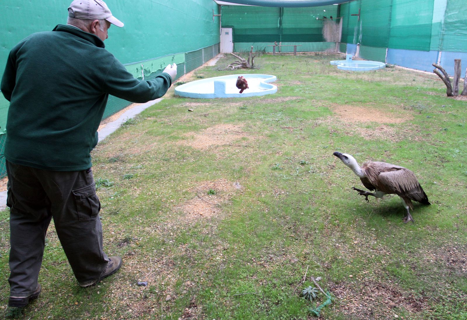 Imagen de las instalaciones del Centro de Recuperación de Especies de Marismas del Odiel.