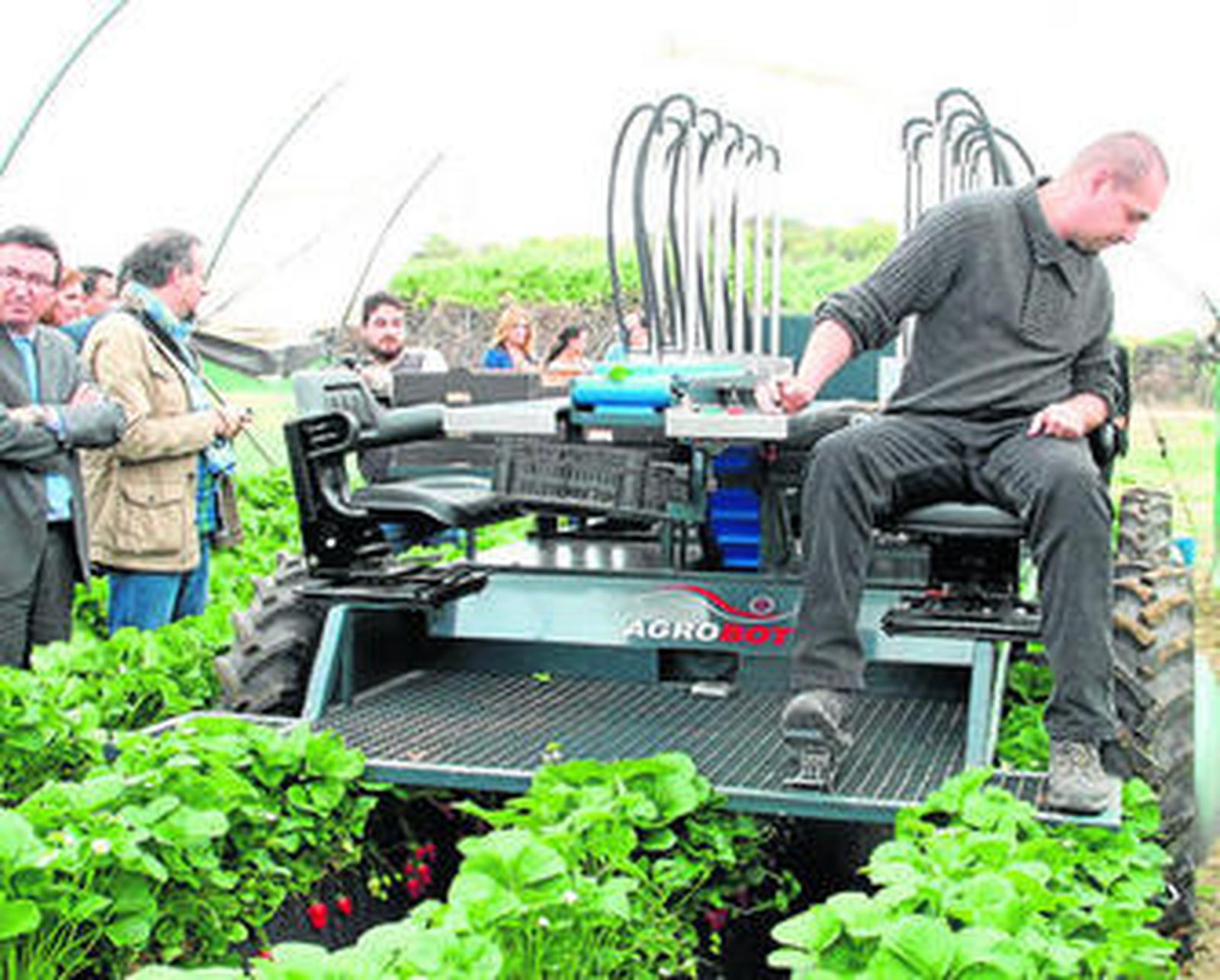 La exhibición de ayer del nuevo prototipo de máquina para recolectar fresa.