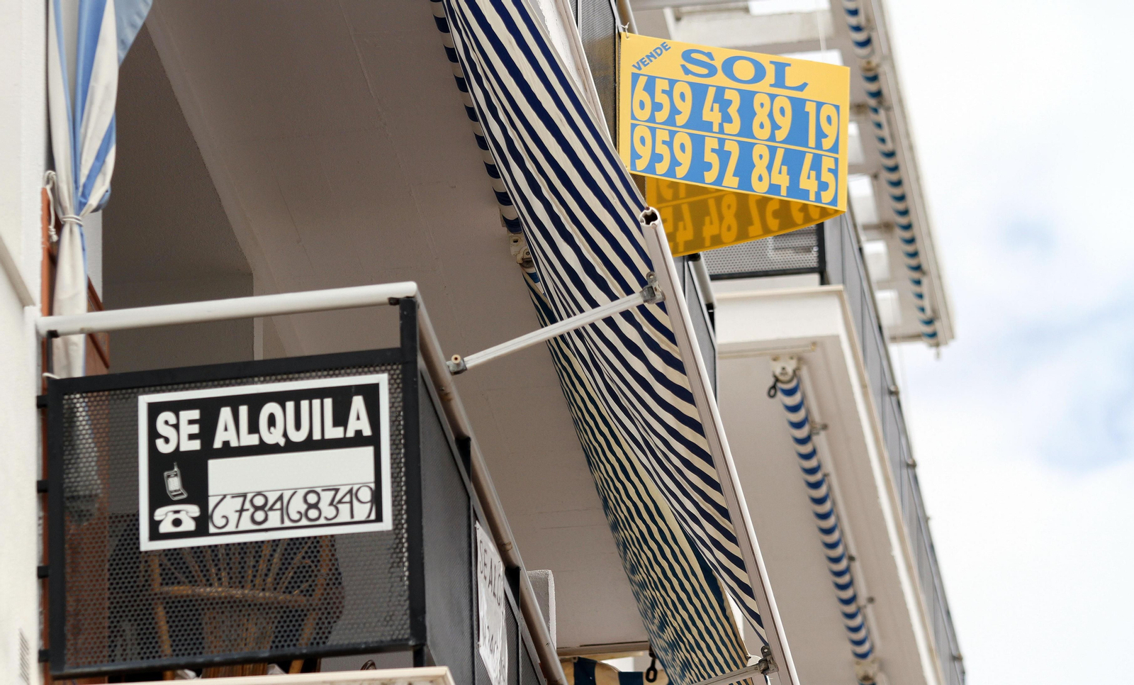 Dos casas con carteles de alquiler