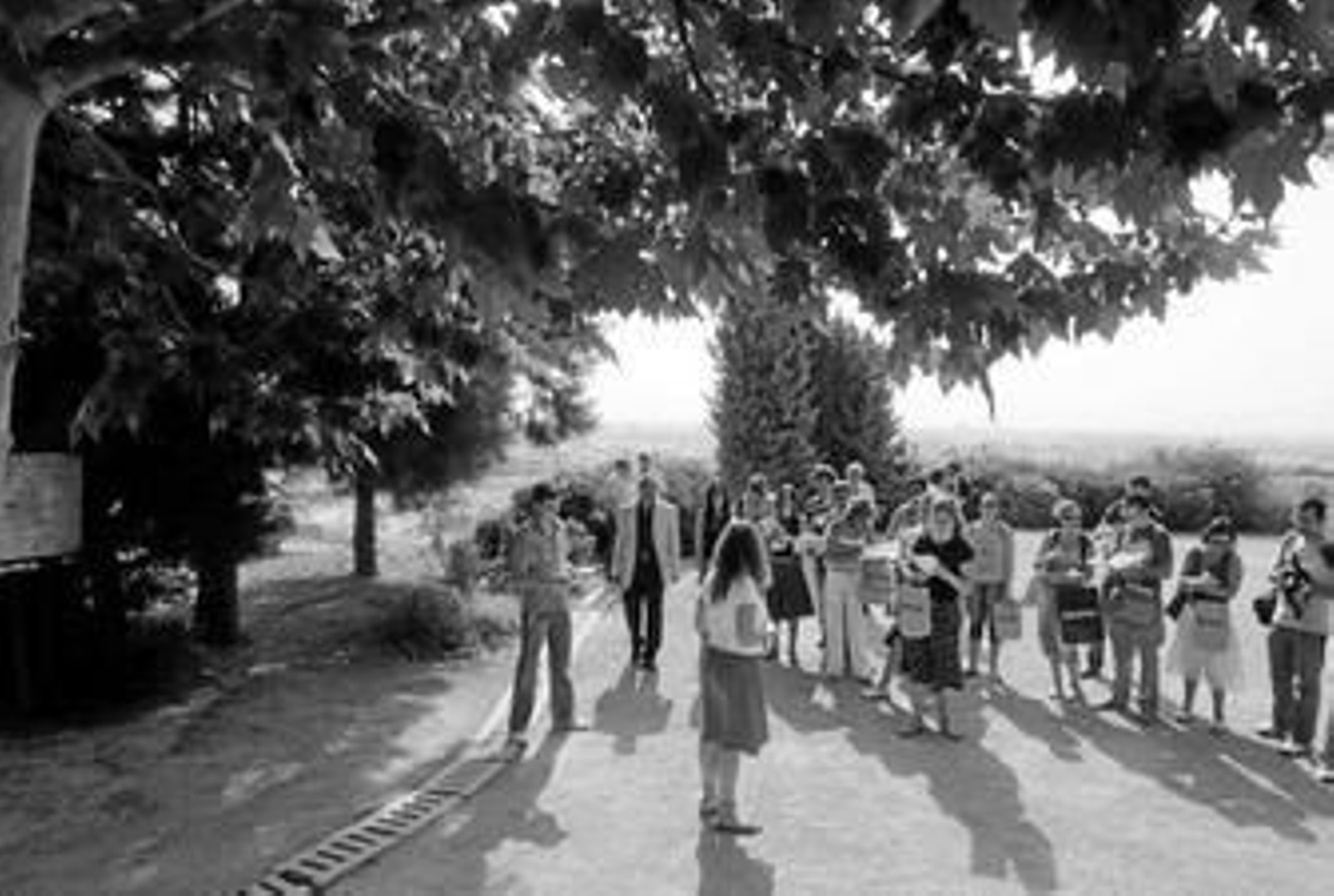 Visita guiada al Jardín Botánico El Arboreto de El Carambolo.
