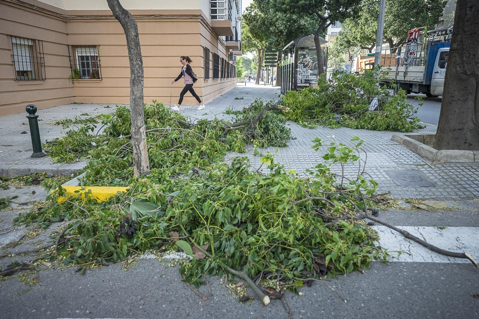 Efectos del temporal de levante en Cádiz