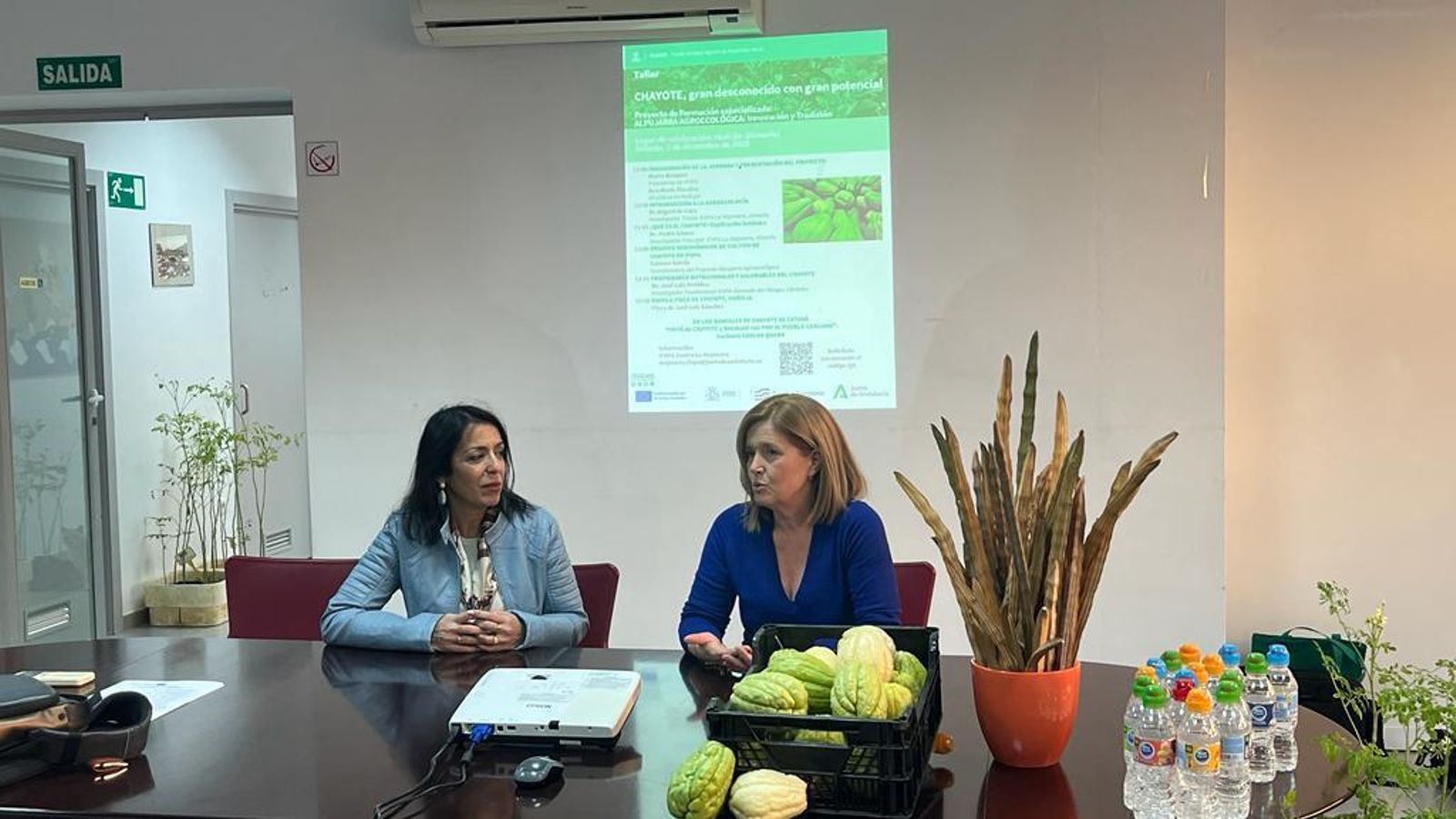 Una de las charlas del taller, con los chayotes presentados en una caja.