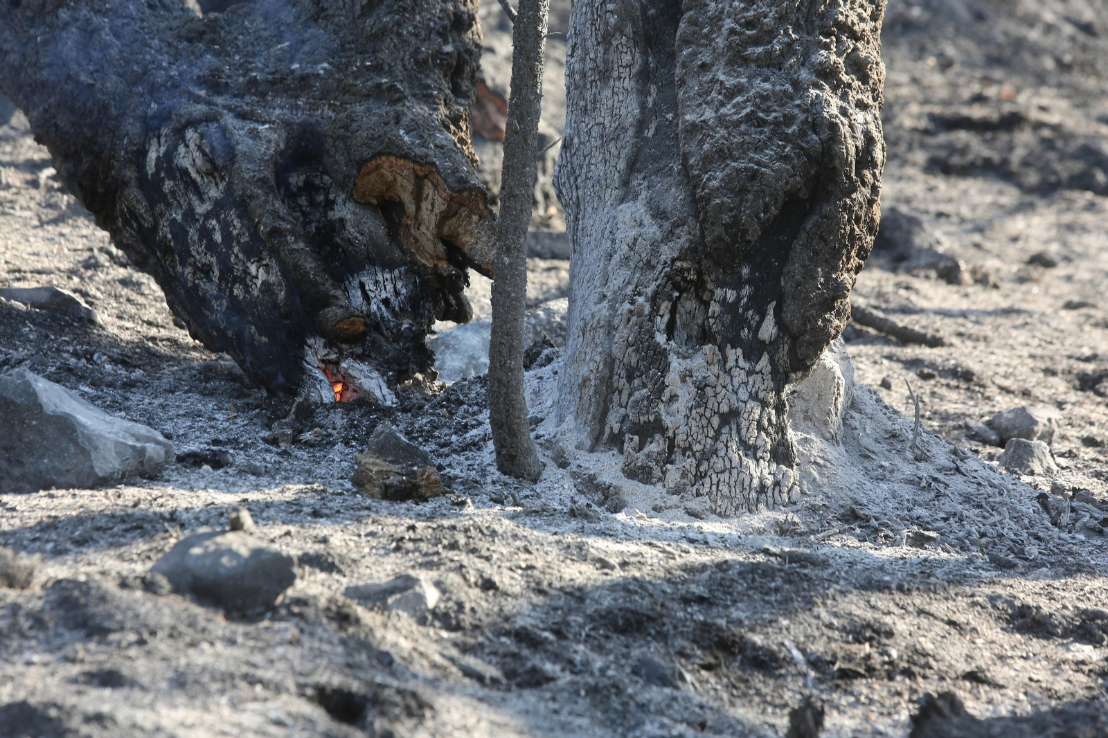 Imágenes del área afectada por el fuego del segundo día en el incendio de Almonaster