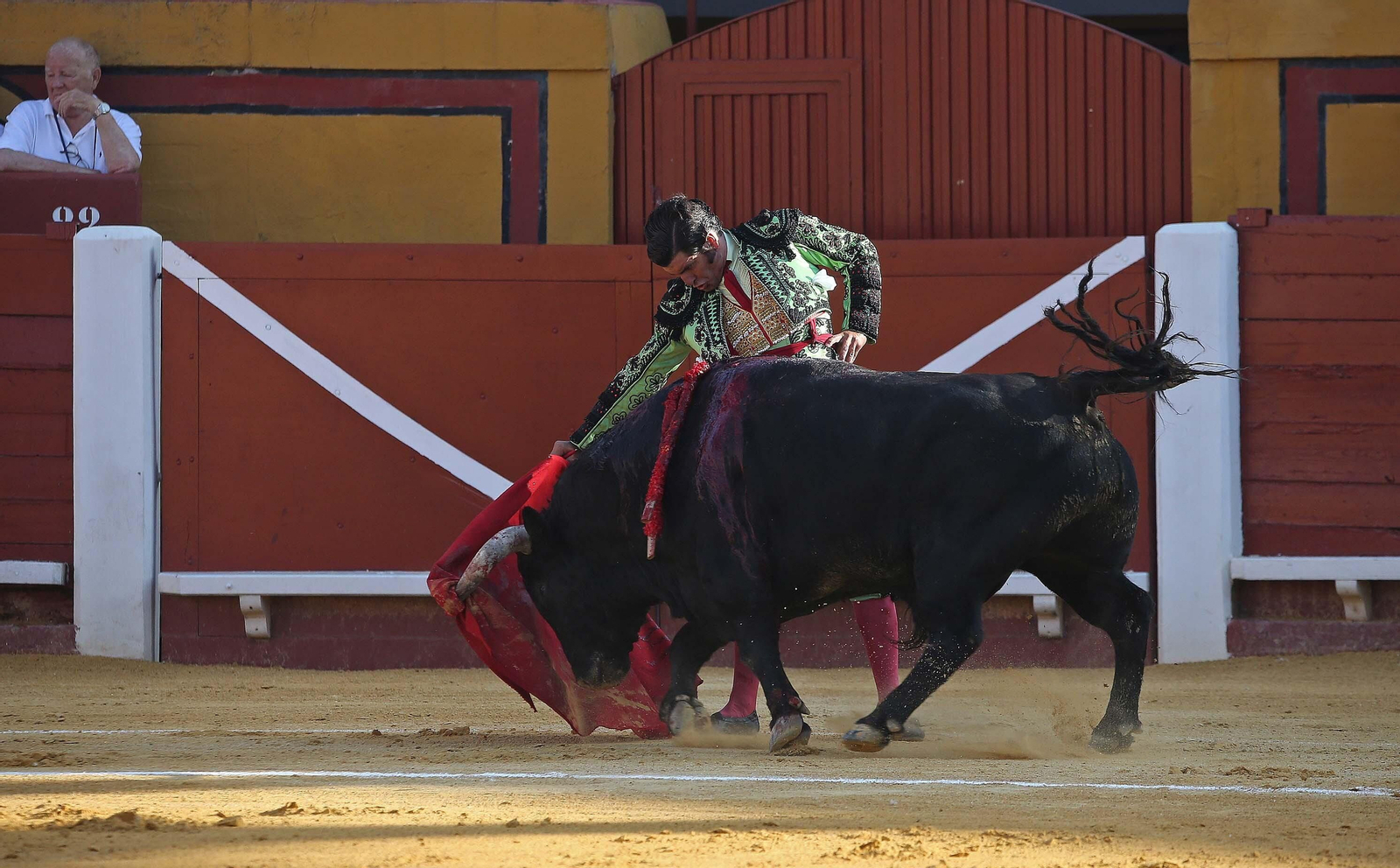 Fotos de la corrida del viernes de la Feria Taurina de Algeciras 2023: Morante de la Puebla, Emilio de Justo y David Galván