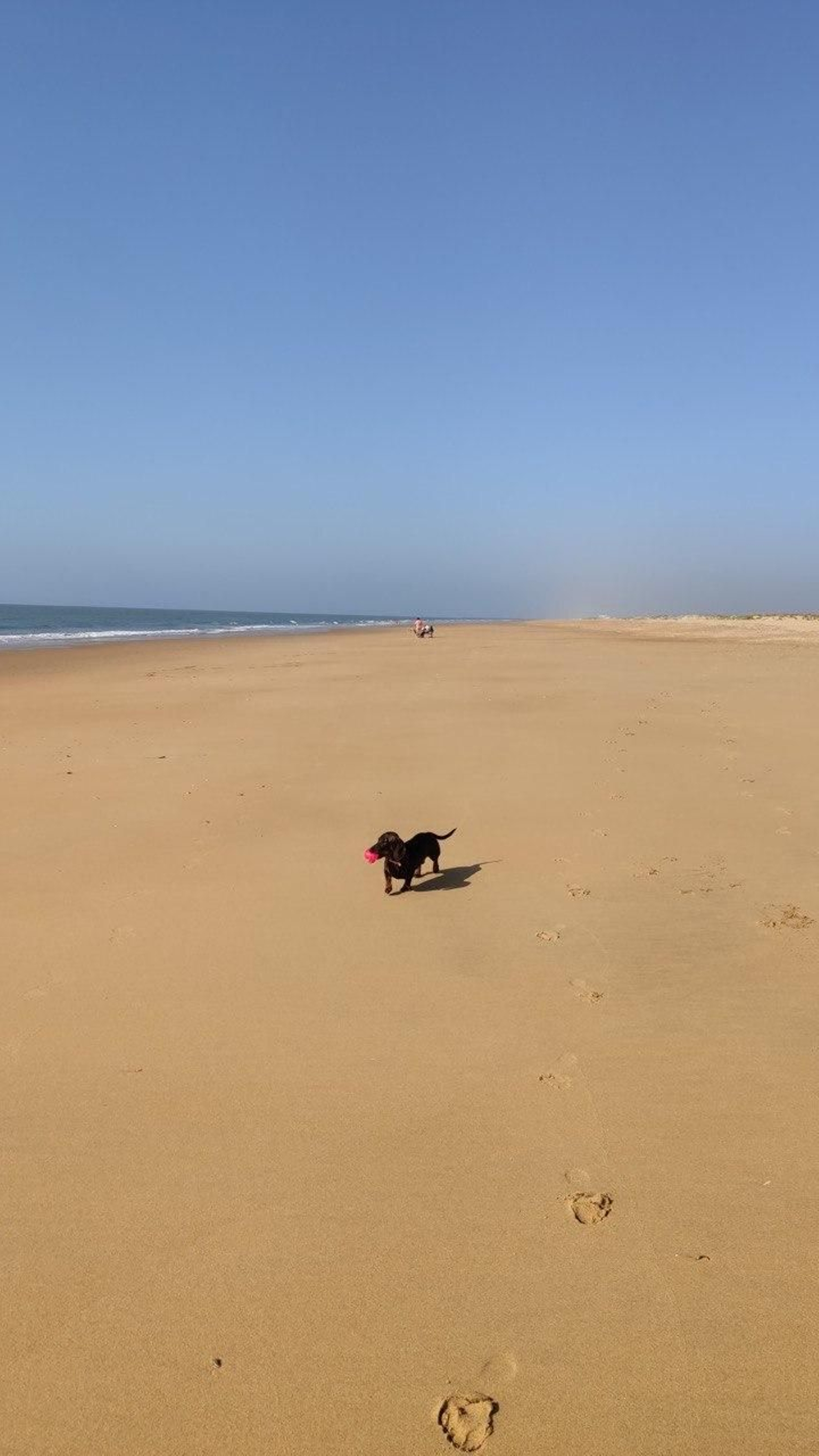 Mateo en la playa de El Espigón