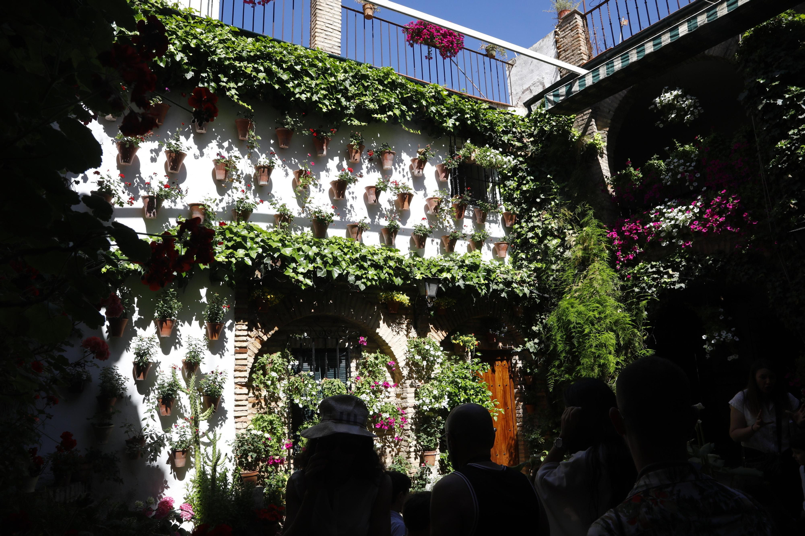 Los Patios de Córdoba se preparan para el fin de semana, en imágenes