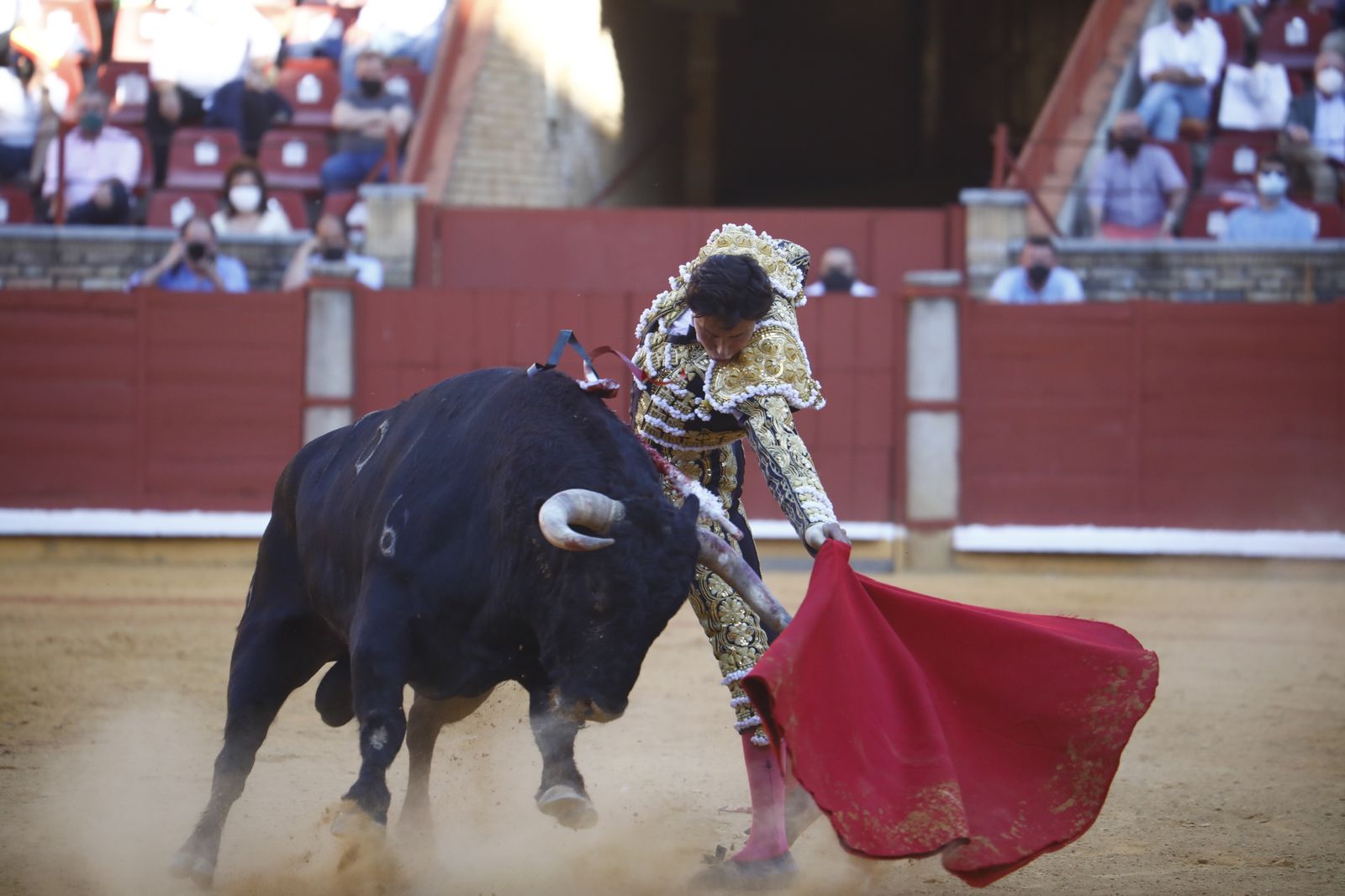 Las fotografías de la corrida mixta de la Feria Taurina de Córdoba con Roca Rey, Aguado y Ventura