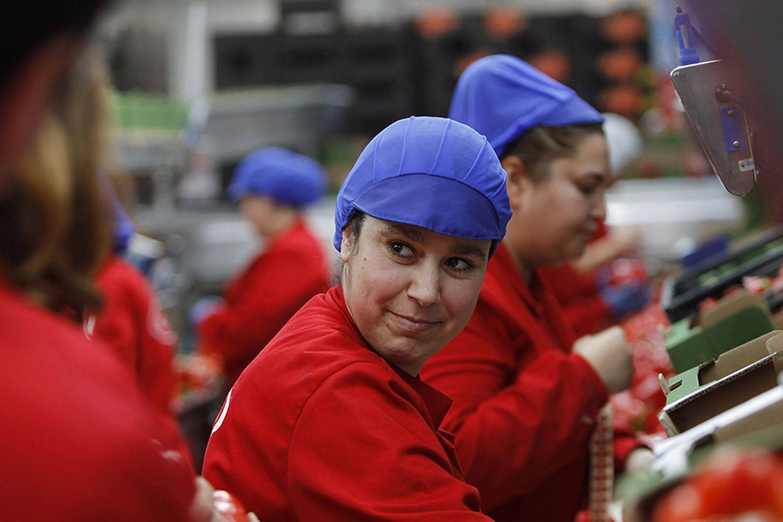 Fotogalería nuevas instalaciones Vicasol 3 en El Ejido