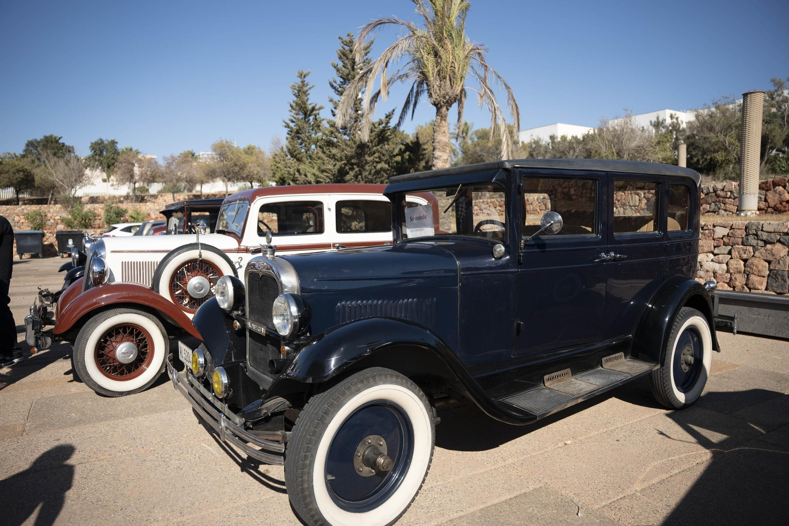 El encuentro Vecinal en el Palacio de Exposiciones y Congresos ‘Cabo de Gata – Ciudad de Almería’ de El Toyo, en imágenes