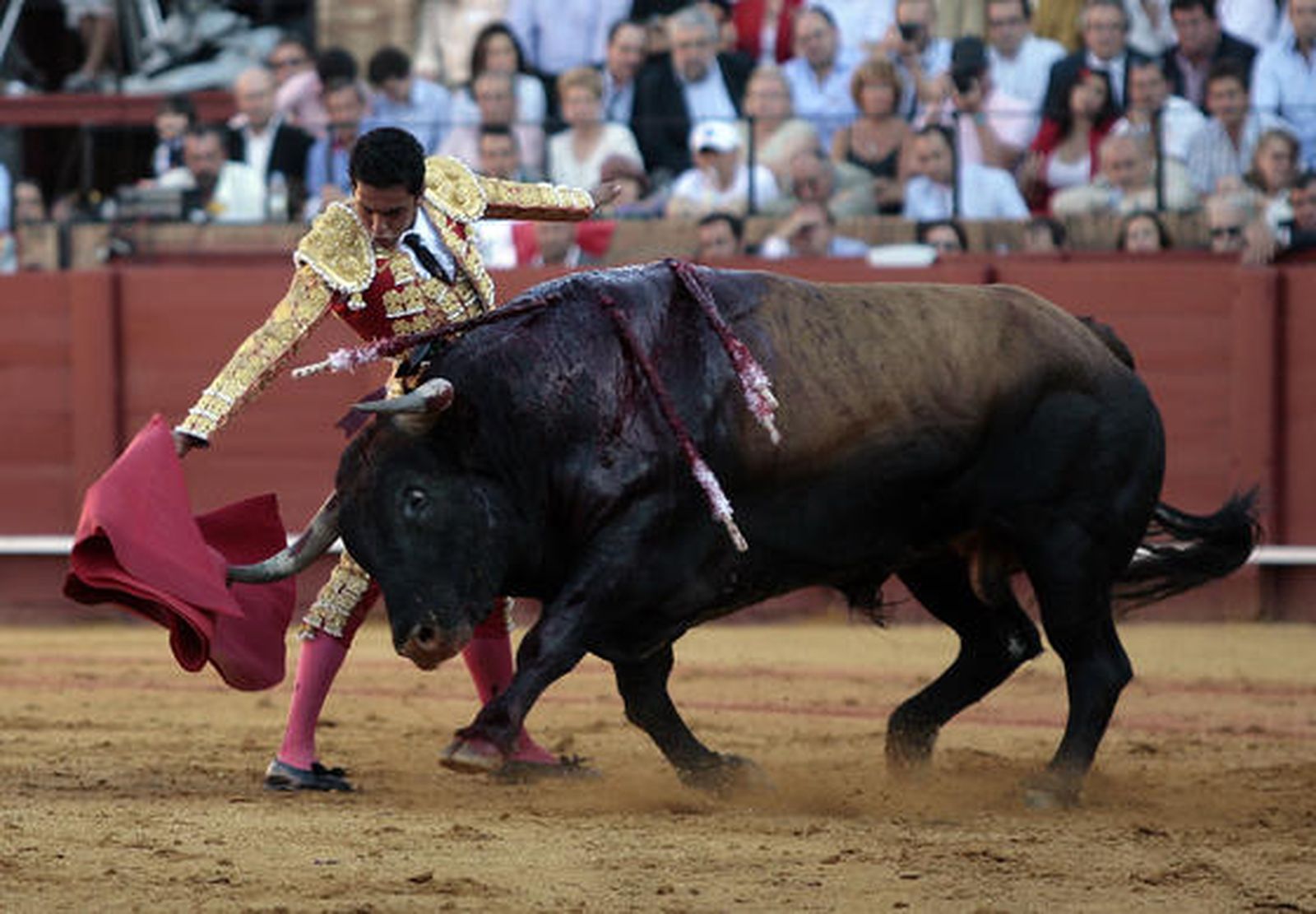 El torero mexicano Israel Téllez, en su debut en España.

Foto: Juan Carlos Muñoz
