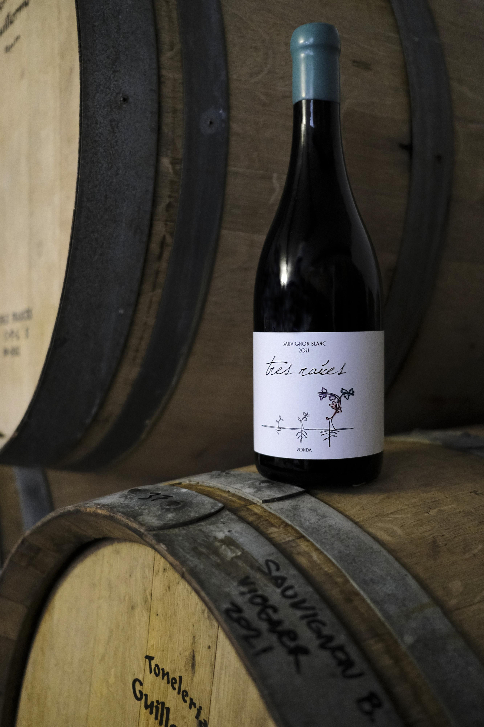 La vendimia de la Serranía de Ronda, en fotos.