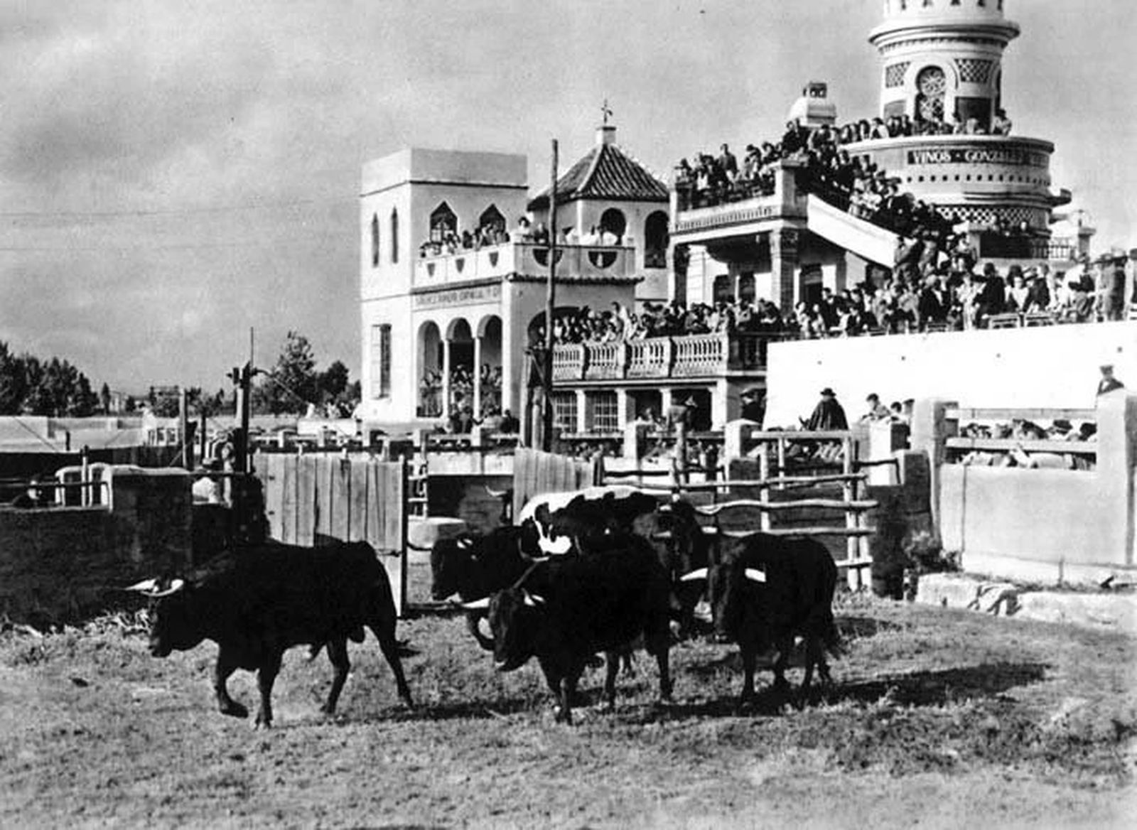 Imagen de las corridas en las históricas corraletas de Bellavista.