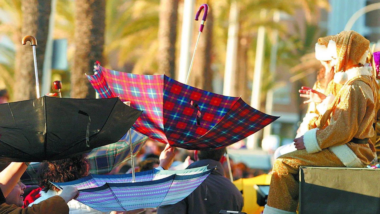 Paraguas en una cabalgata de Reyes Magos en la capital gaditana.