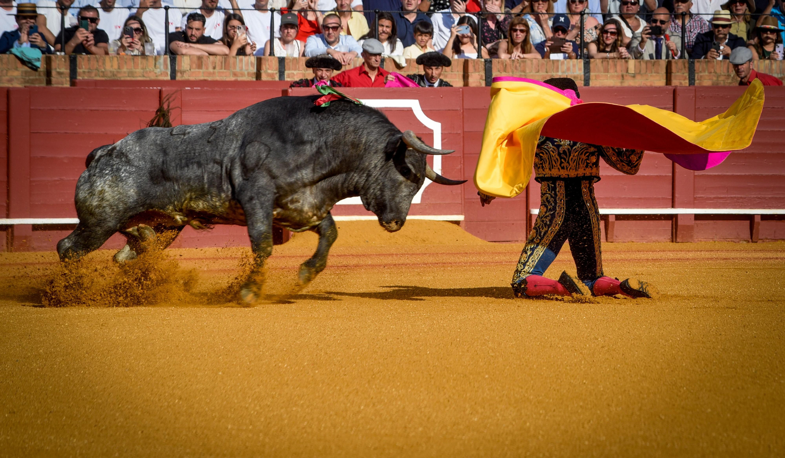 Las imágenes de la corrida de toros de El Fandi, Manuel Escribano y Esaú Fernández