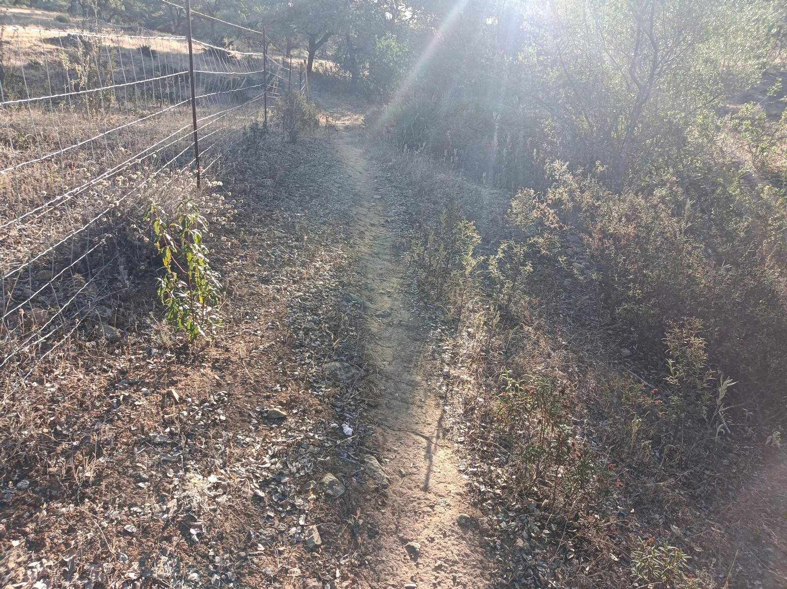 Tras cruzar la carretera por segunda vez, el camino se estrecha en algunos tramos.