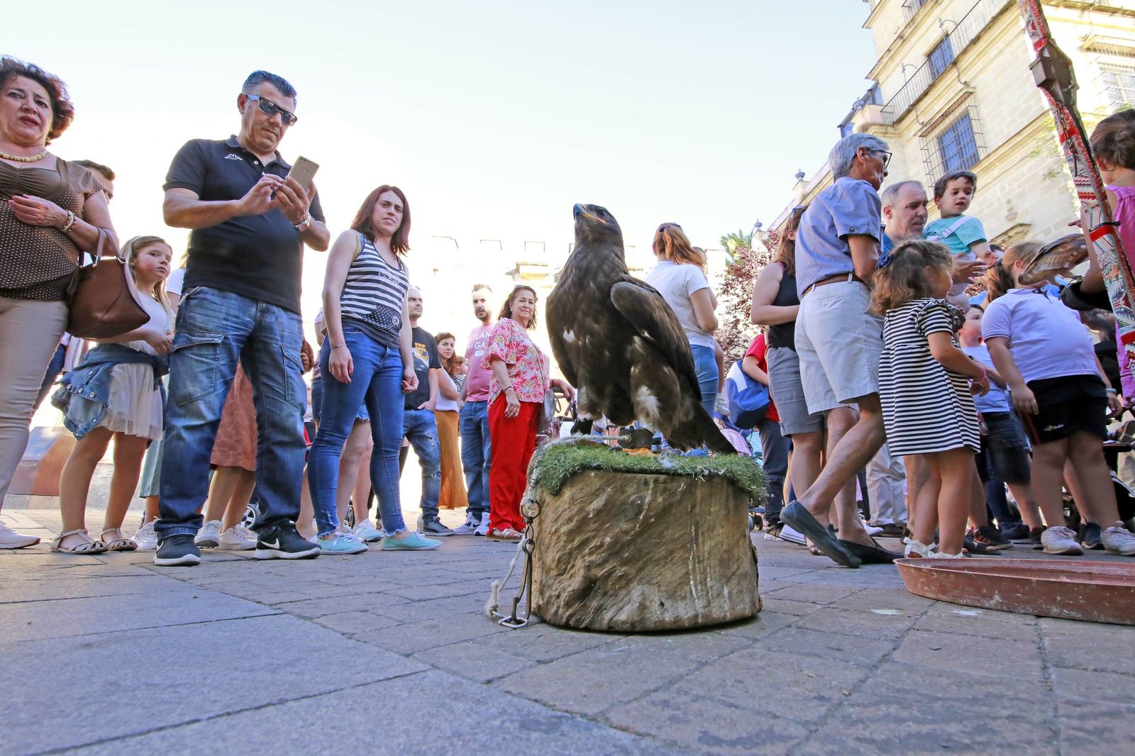 Imágenes del mercado medieval en la Alameda Vieja de Jerez