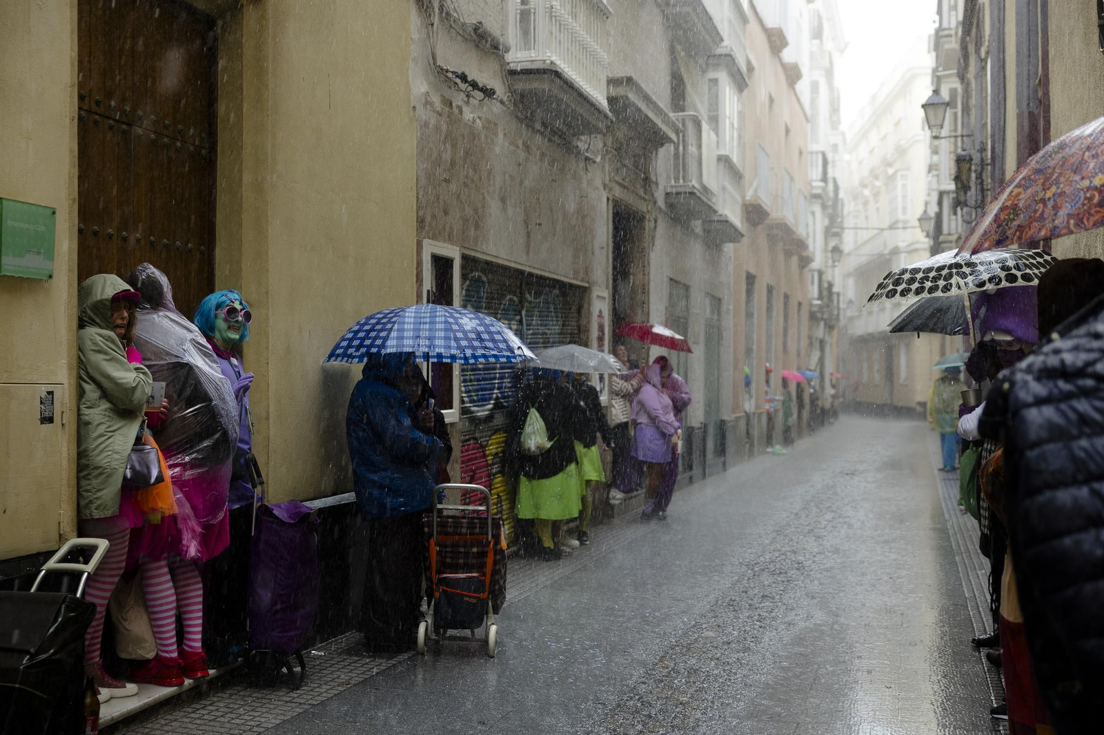 Las mejores imágenes del primer domingo de Carnaval de Cádiz