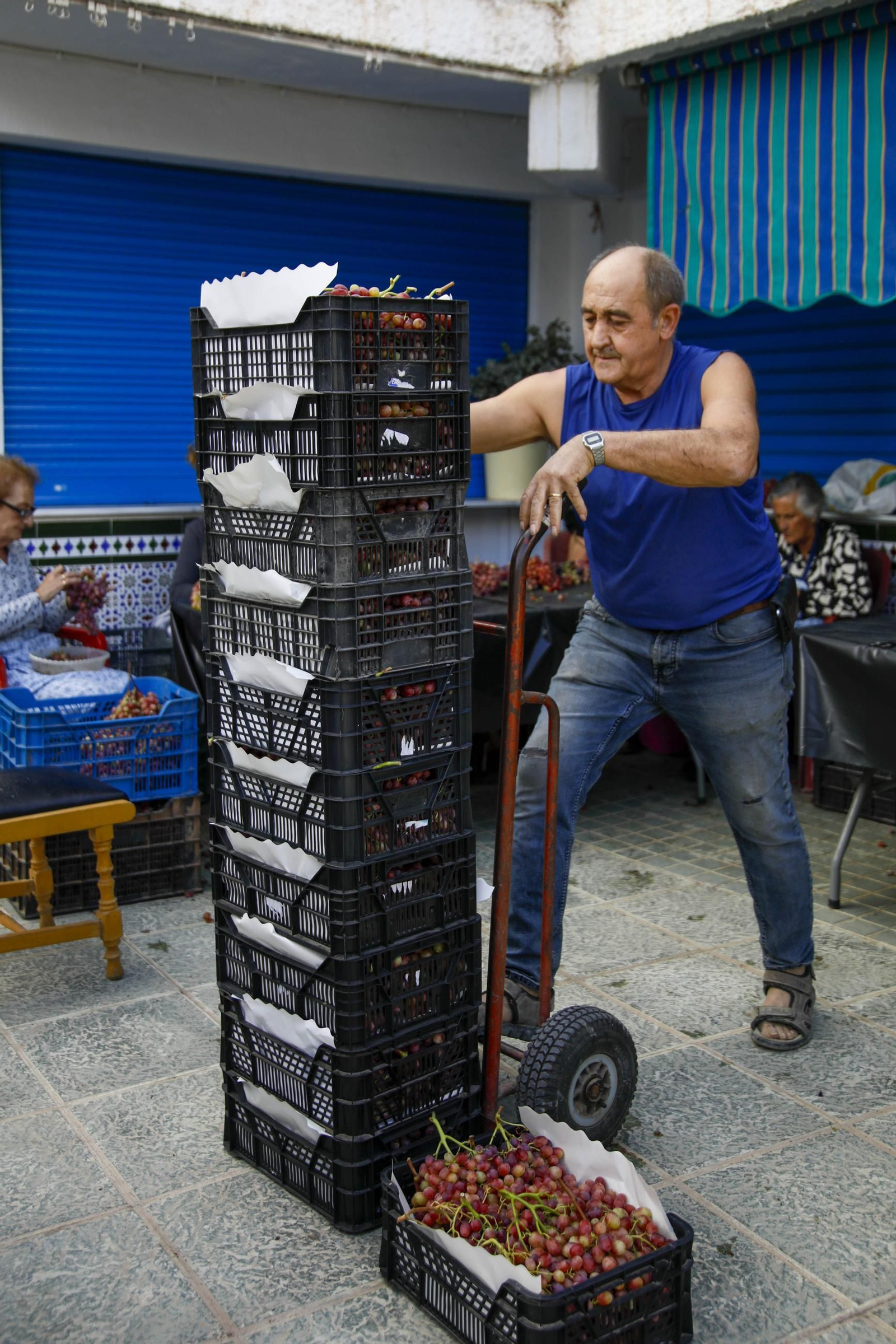La tradicional faena de la uva de Canjayar, en imágenes