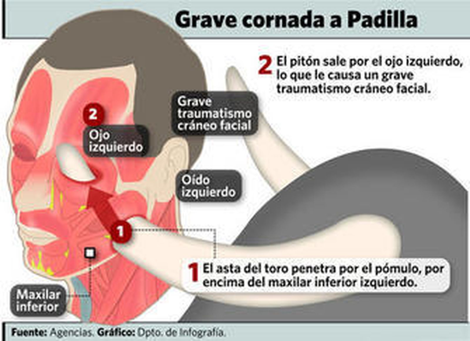 Instante en el que el cornúpeta empitona con saña al torero.