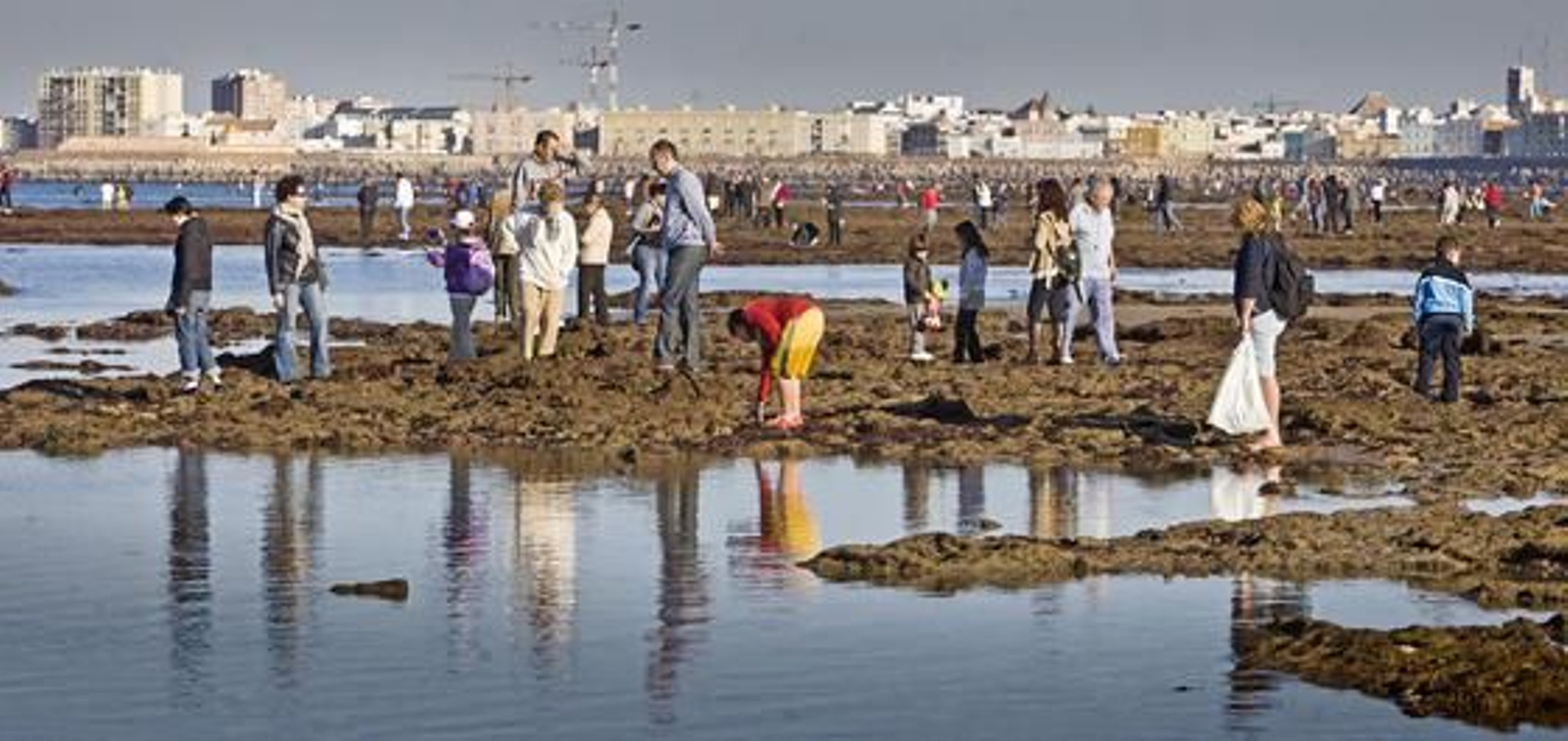 Desde primeras horas de la mañana, en la playa de la Caleta se han reunido miles de ciudadanos, dispuestos a disfrutar y fotografiar la marea del año./Julio González

Foto: Julio Gonz?z/Jes?ar?