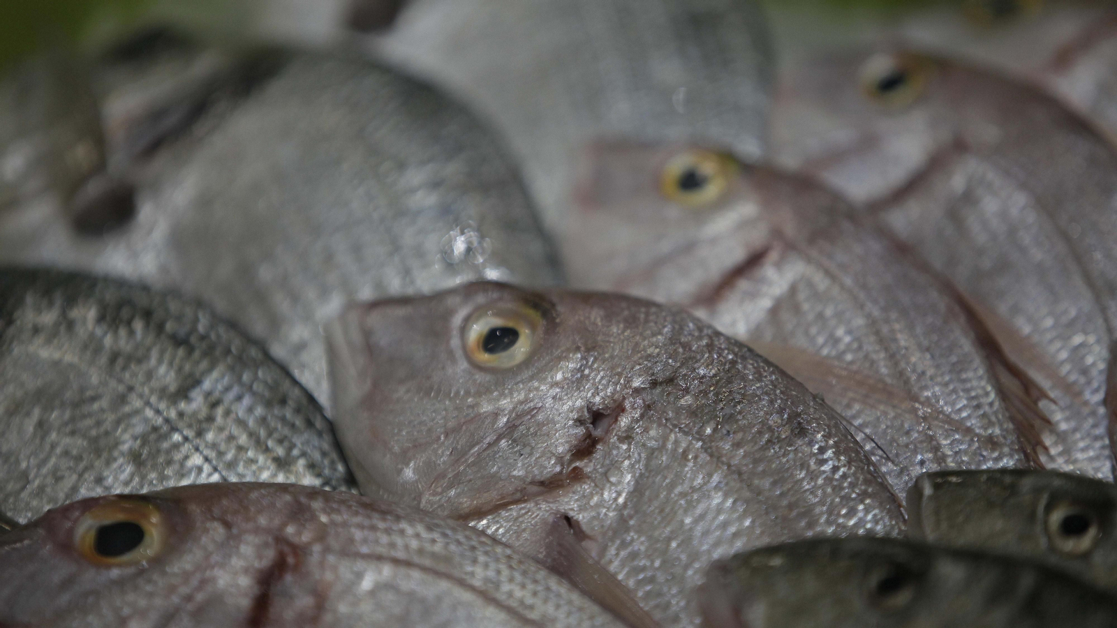 Listo para Comer de Mercadona llega al Campo de Gibraltar