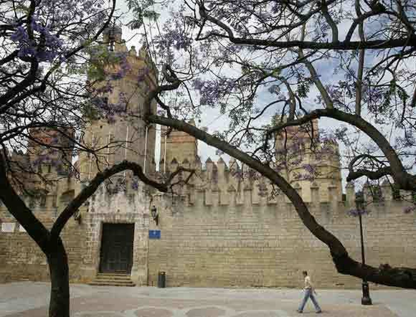 La musa de Rafael Alberti