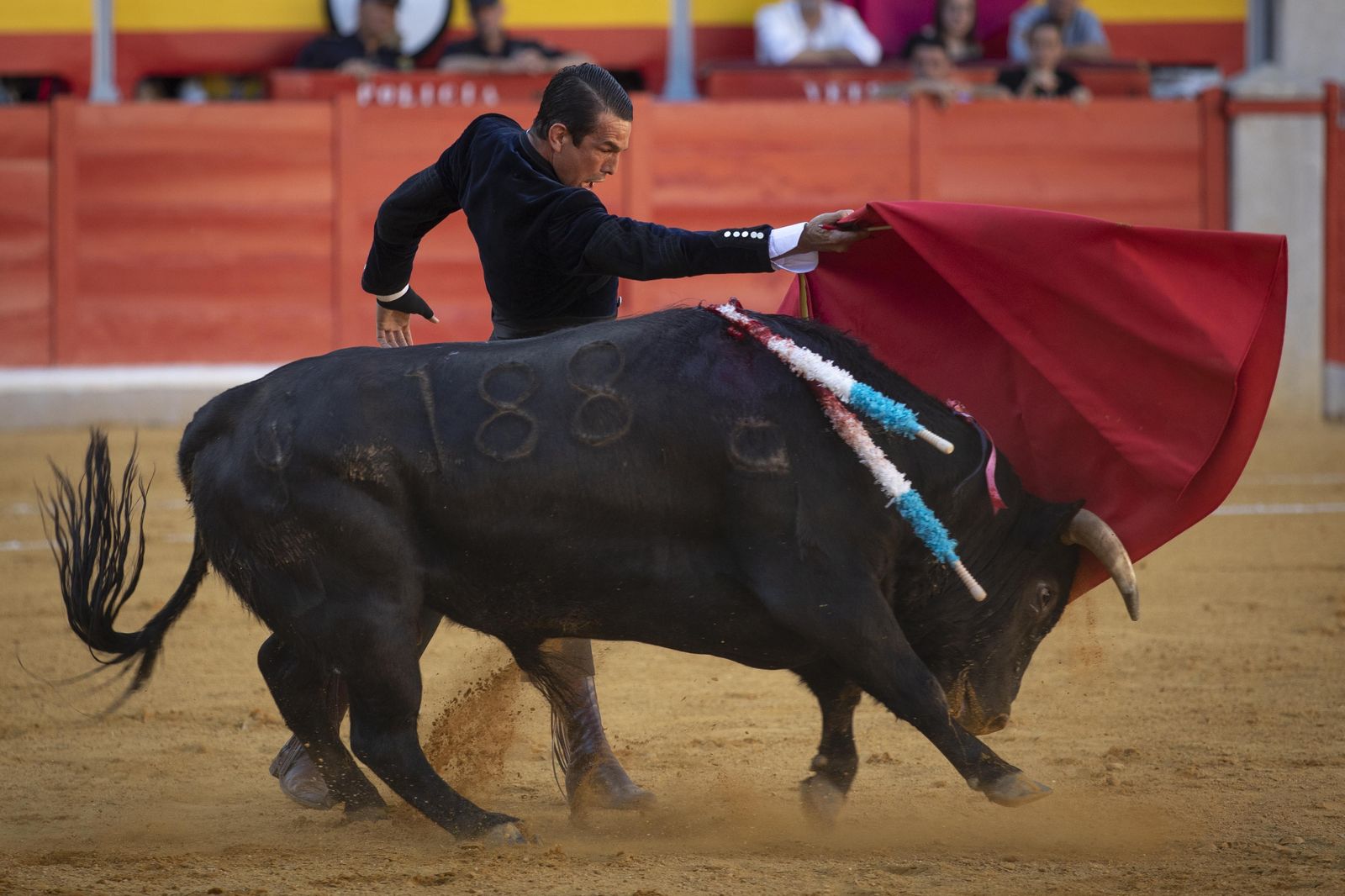 Las mejores imágenes del Festival Taurino en beneficio de Granadadown