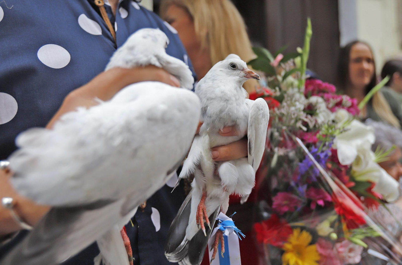 Imágenes de Emigrantes en Casa Venancio