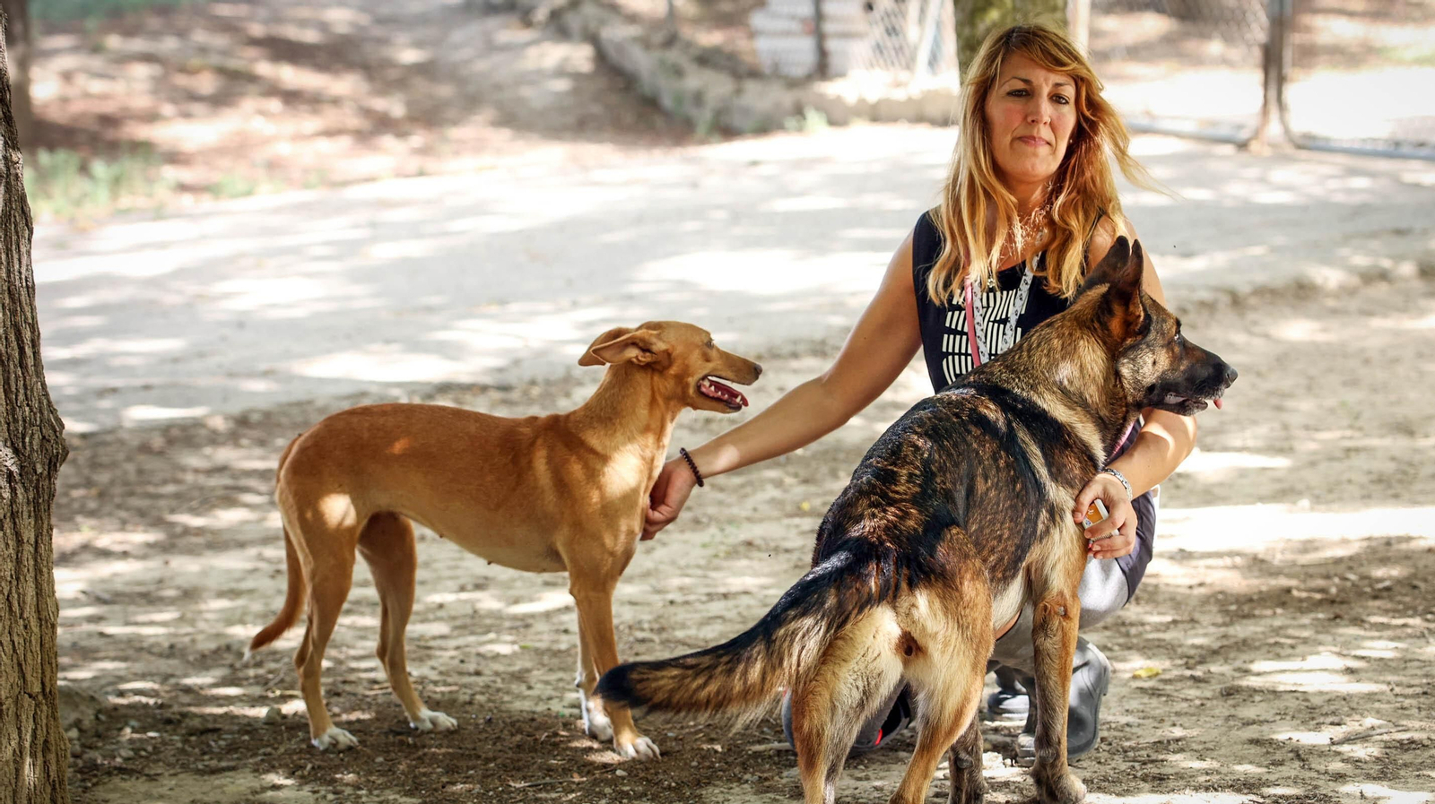 Protectora No Me Abandones en Jerez