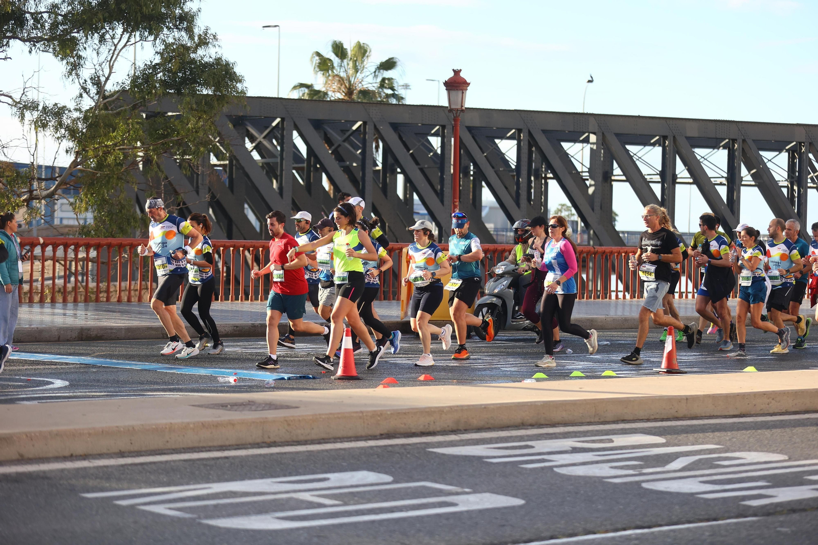 Las mejores fotos de la Media Maratón de Málaga 2024 Las mejores fotos de la Media Maratón de Málaga 2024