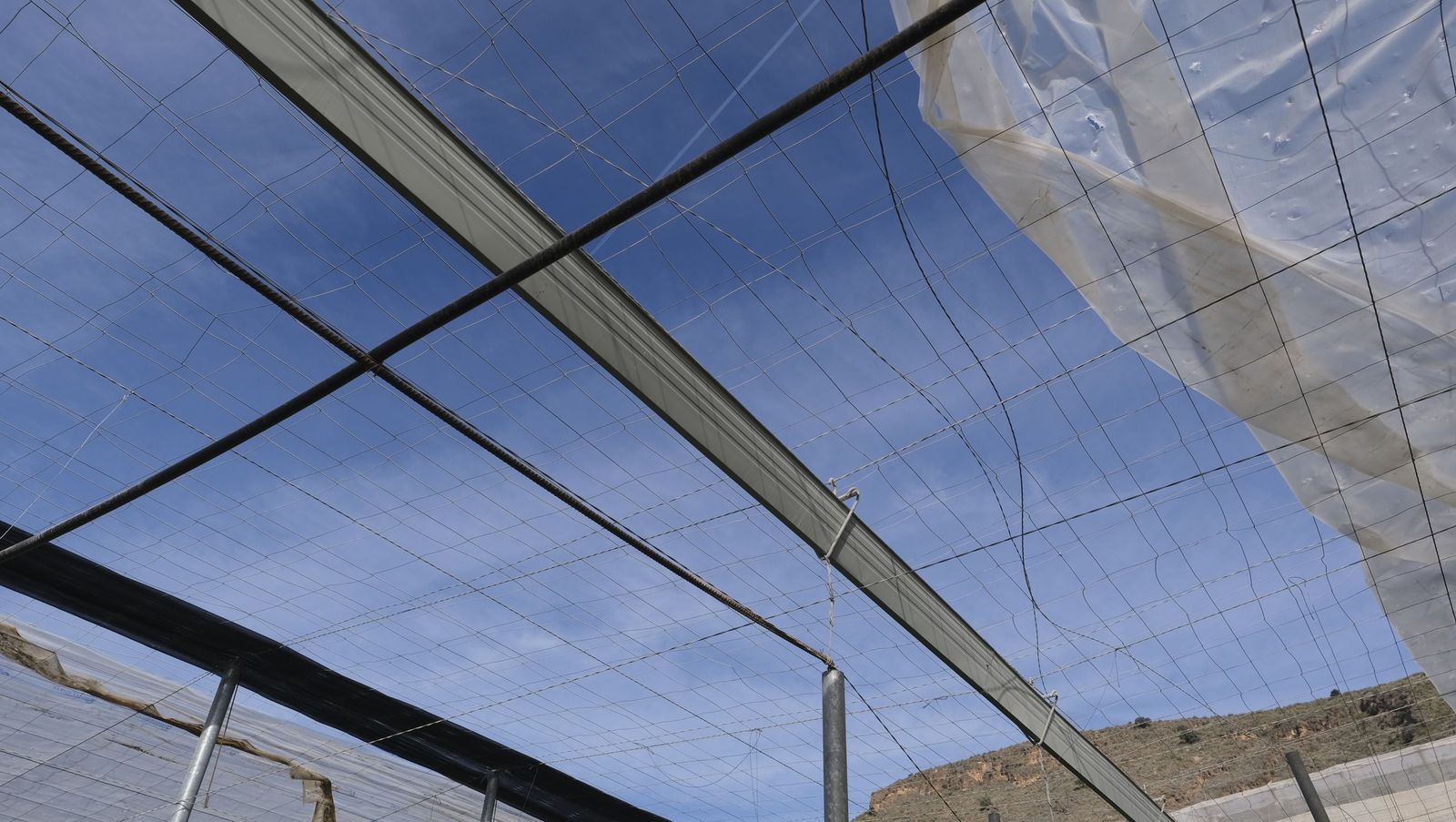 Los efectos del temporal de viento en los invernaderos, en imágenes