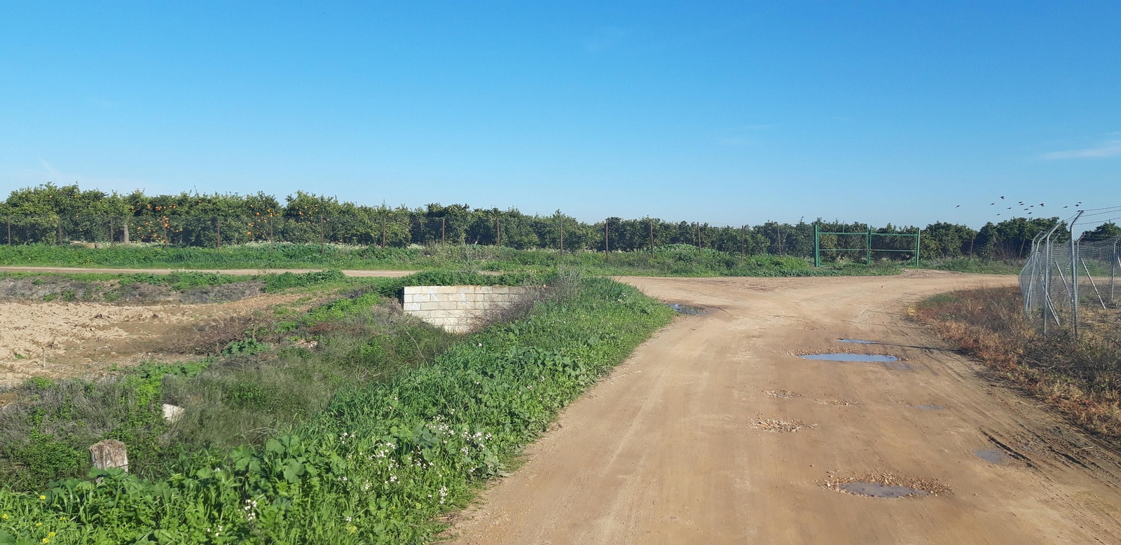 Ruta por la ribera del Guadalquivir entre Sevilla y Coria del Río