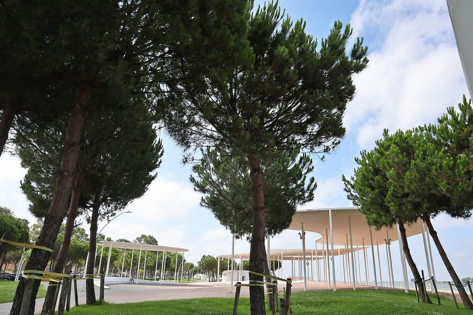Imágenes del ambiente en el entorno del Paseo de la Ría