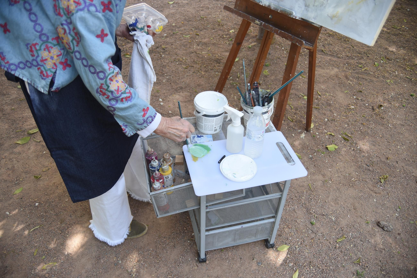 Las imágenes del Día del Arte en Córdoba