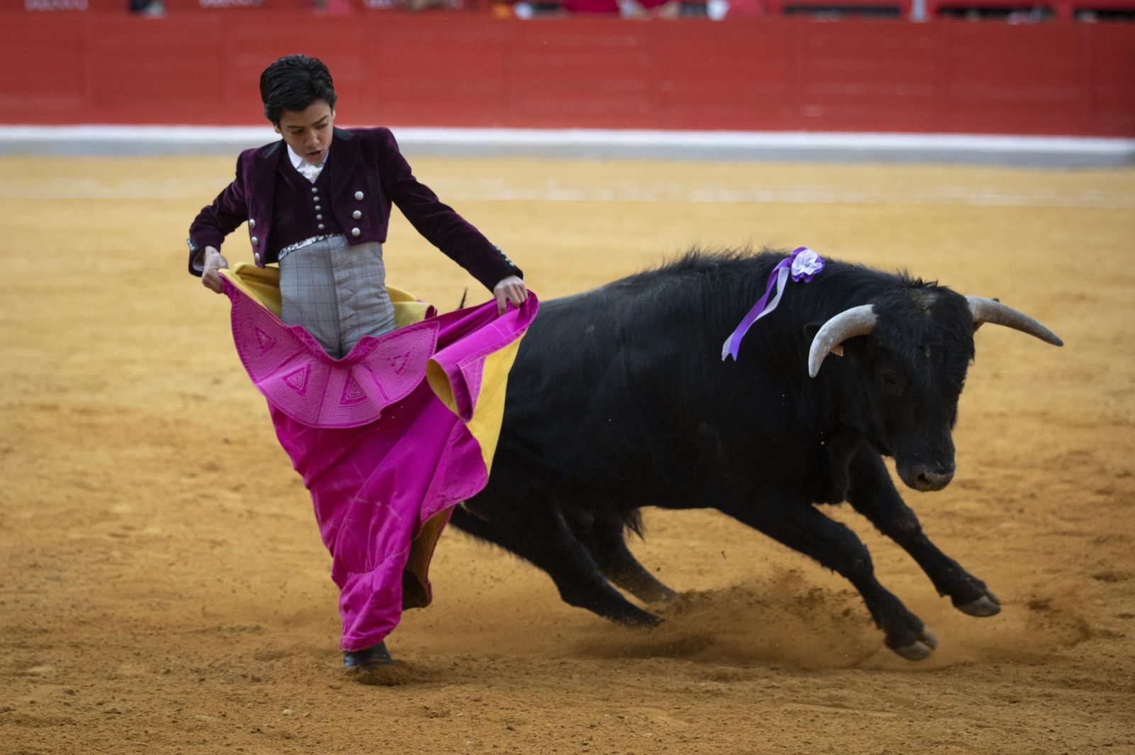 Las mejores imágenes del Festival Taurino en beneficio de Granadadown