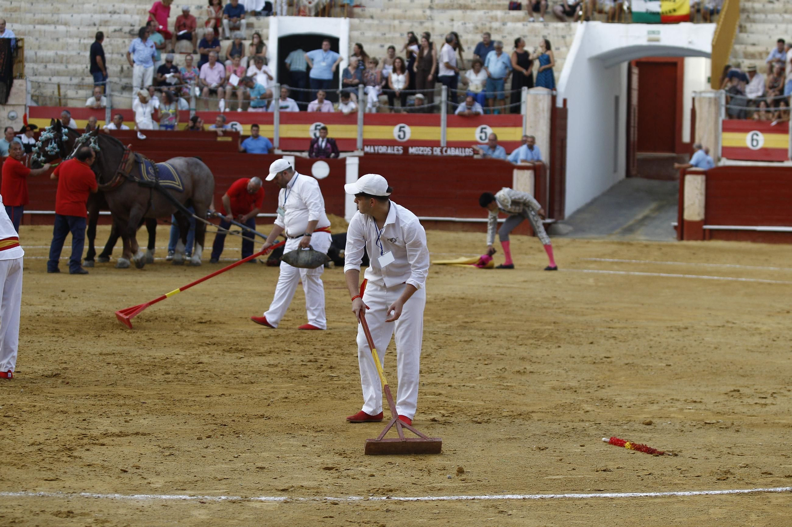 Imágenes de la novillada de la Feria de Almería 2025