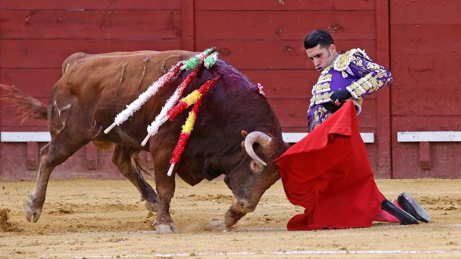 Talavante ante su segundo en la versión de rodillas de la suerte que creó Carlos Arruza.