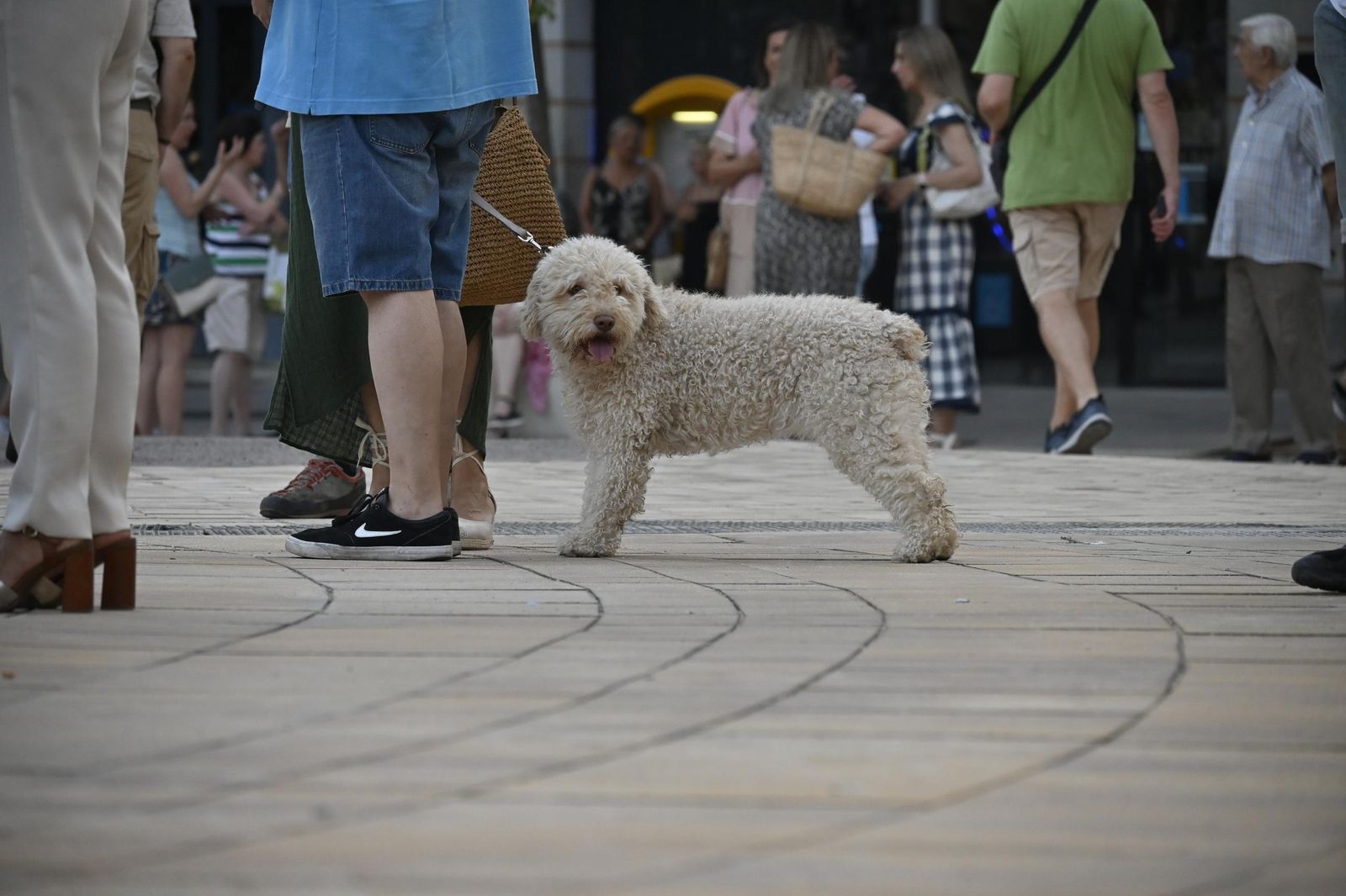 Inauguración de la Plaza de La Merced de Huelva en imágenes