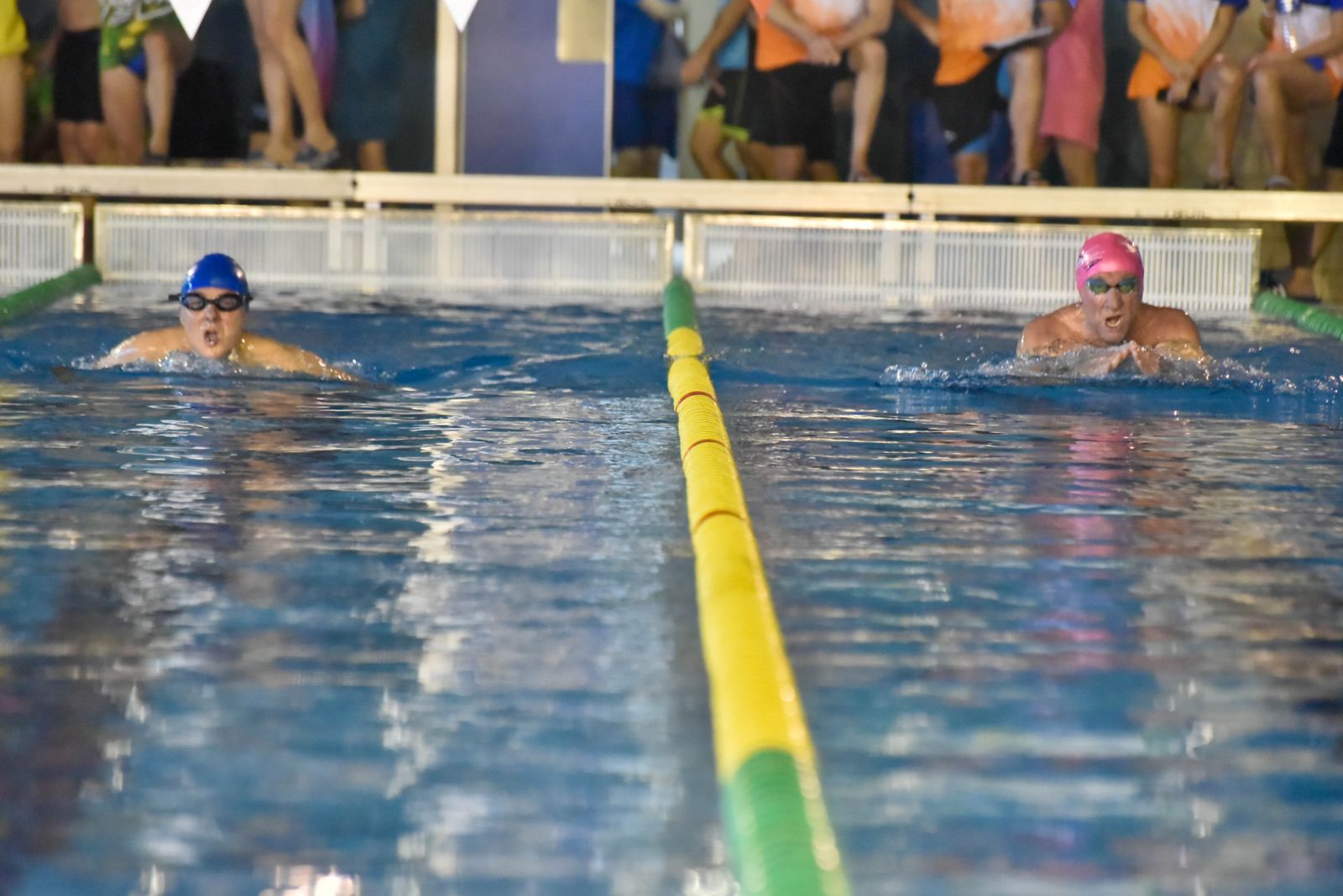 Las fotos del Campeonato de Natación Master en Los Barrios